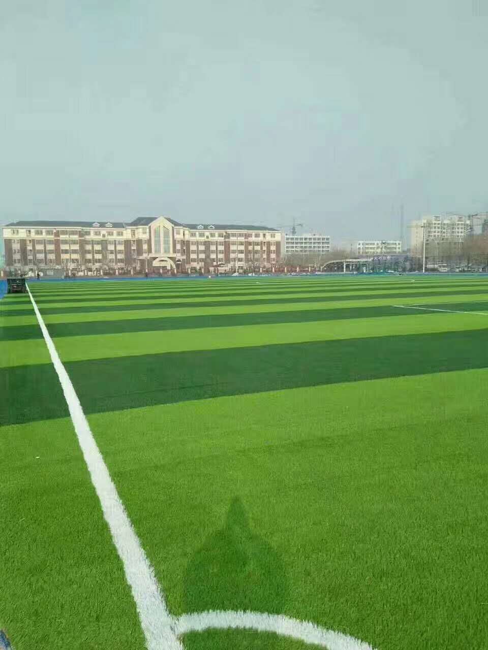 洛阳市健身步道仿真草坪 - 价格